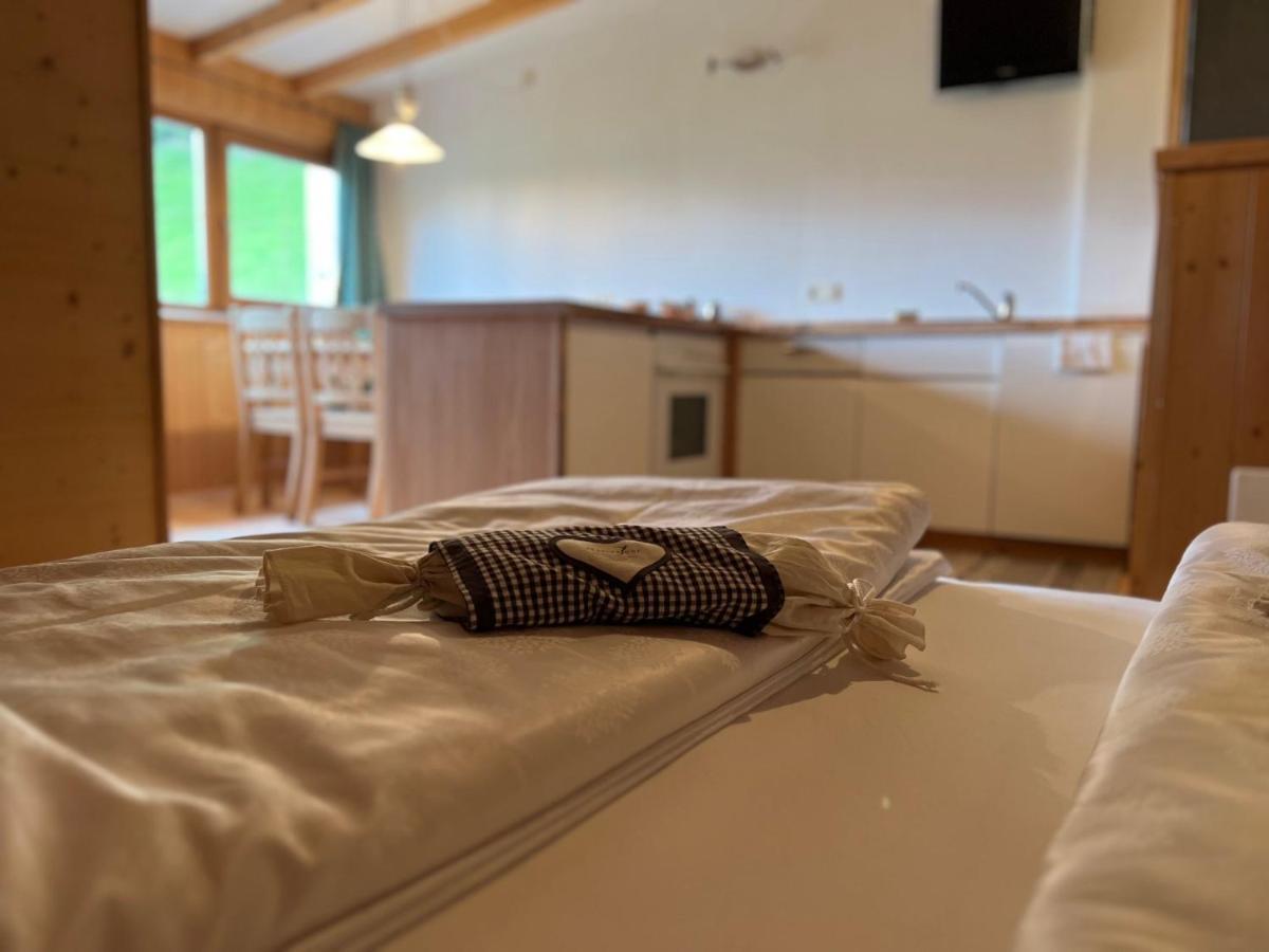 Apparthotel Bio Natur Refugium Blaslahof Santa Maddalena in Casies Kültér fotó