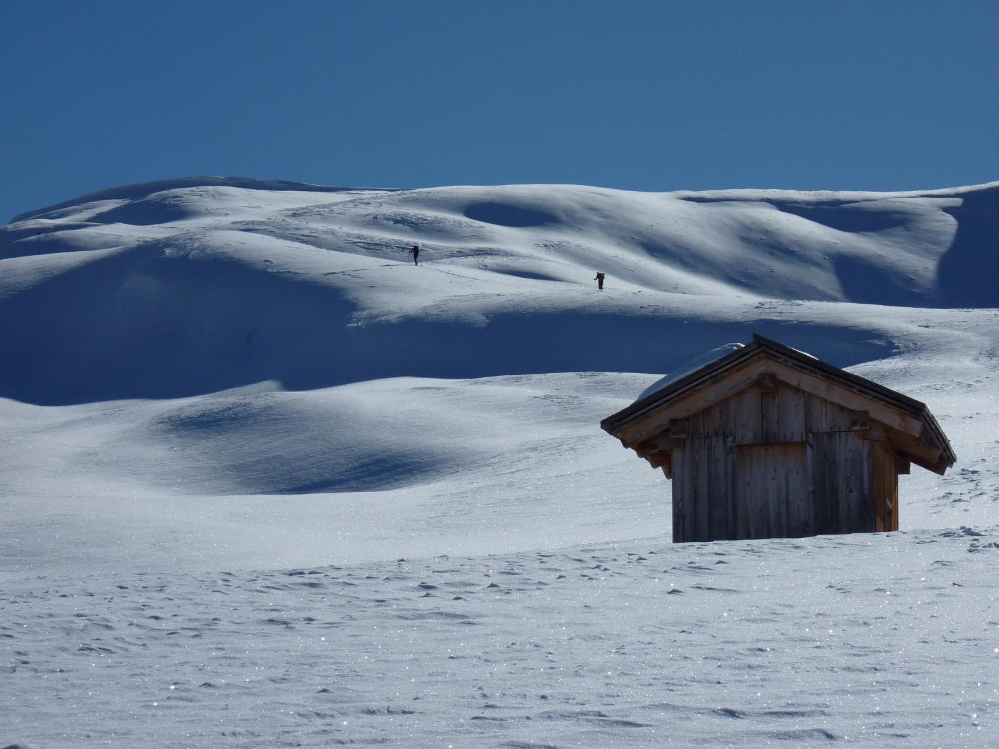 Apparthotel Bio Natur Refugium Blaslahof Santa Maddalena in Casies Kültér fotó